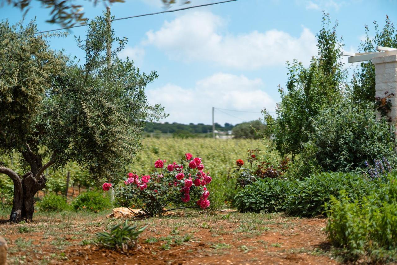 Willa Trulli Audendum Martina Franca Zewnętrze zdjęcie